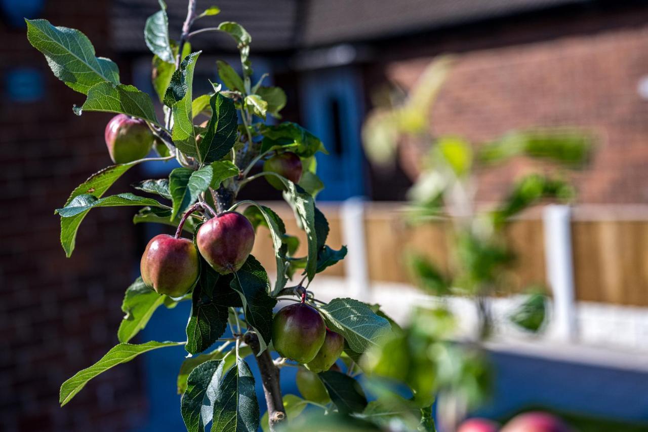 Apple Tree Bungalow Villa Thornton  Kültér fotó